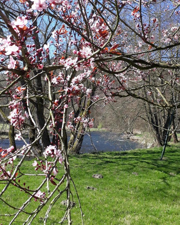 Bed & Breakfast Vallee De L'Ourthe Marcourt Exterior foto