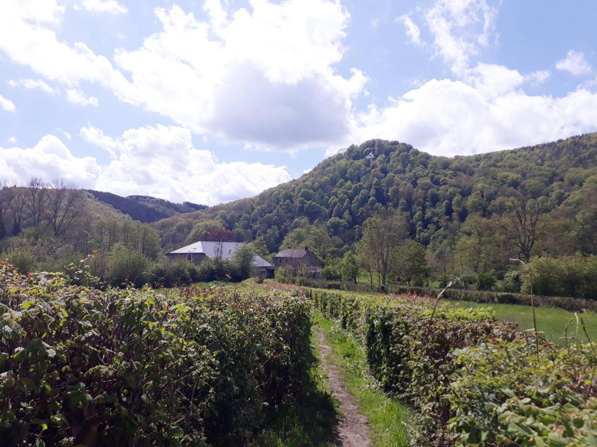 Bed & Breakfast Vallee De L'Ourthe Marcourt Exterior foto